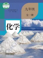 人教版九年级化学全一册