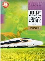 人教版高一思想政治必修2 经济与社会